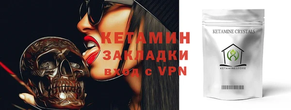 хмурый Верея