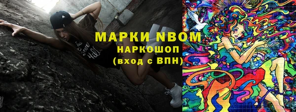 хмурый Верея