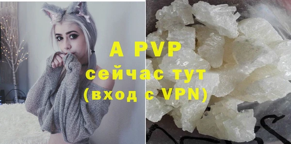 хмурый Верея